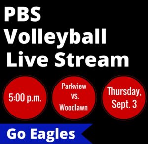 Volleyball Live Stream