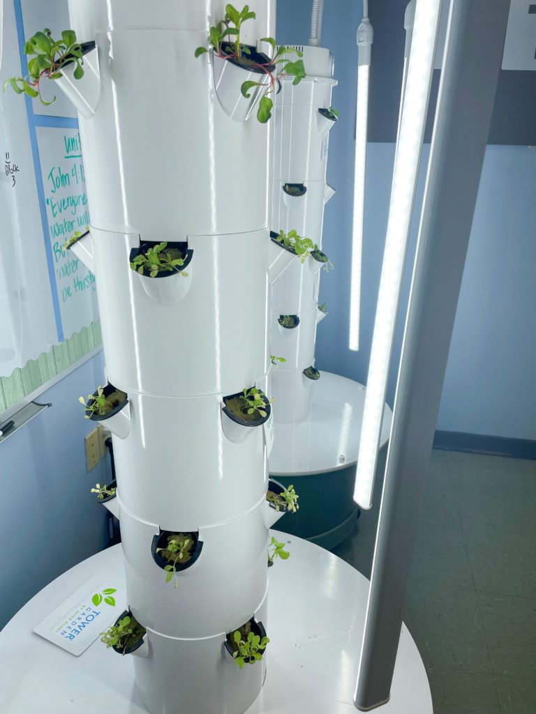 5th-grade-plant-project-parkview-baptist-schoolparkview-baptist-school