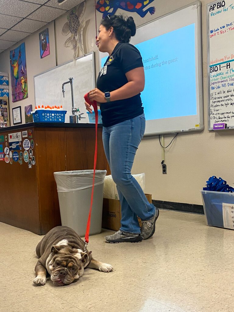 Small Animal Care & Management Parkview Baptist SchoolParkview